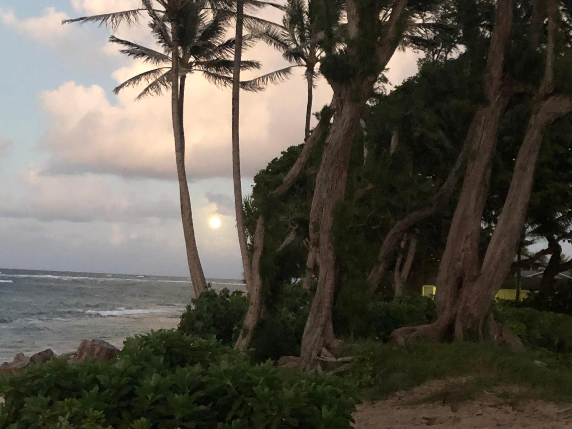 Tropical Treasure On A White Sandy Beach Villa Laie Ngoại thất bức ảnh